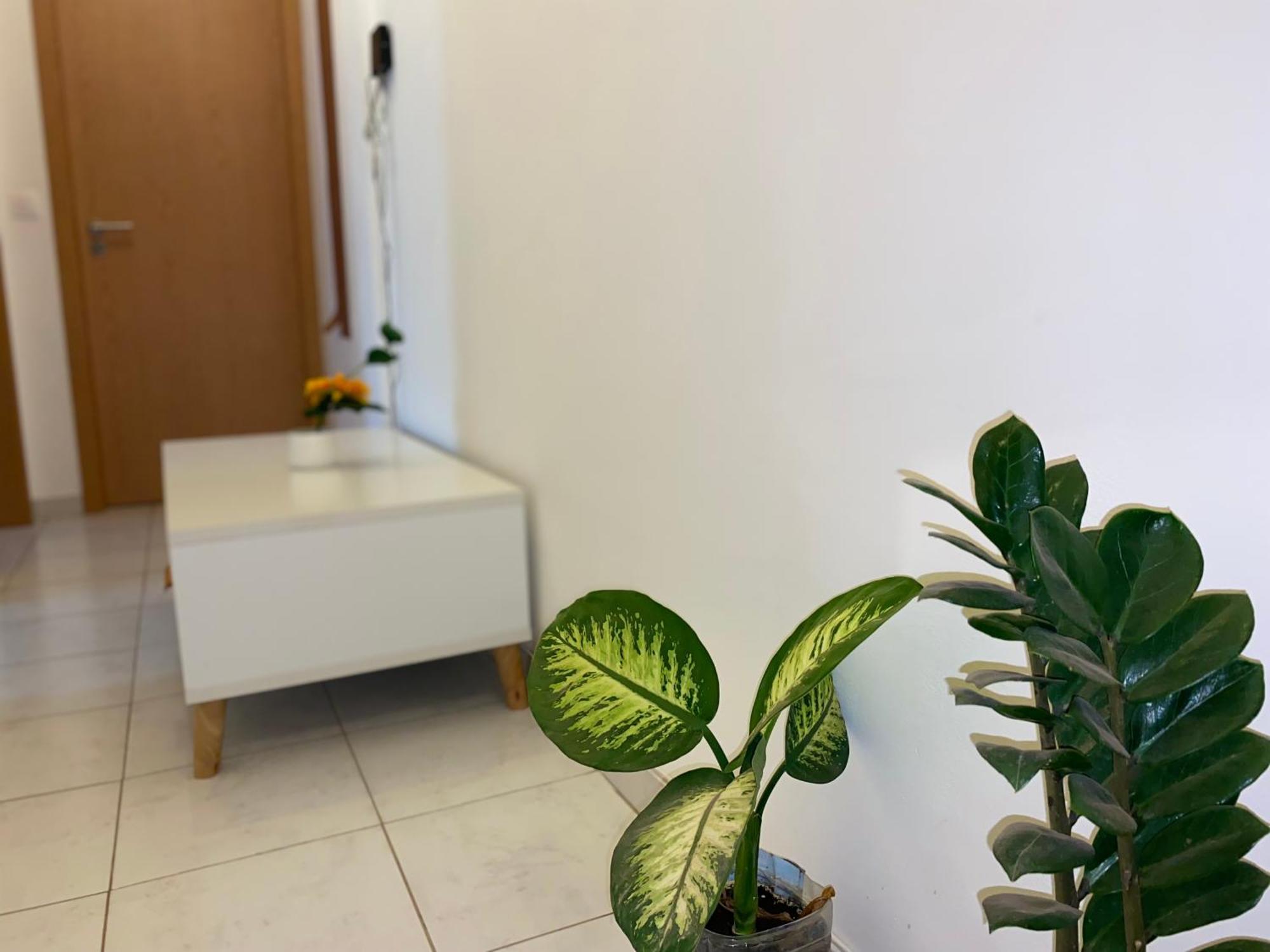 Apartamento T2 Equipado E Aconchegante. Praia Exterior foto
